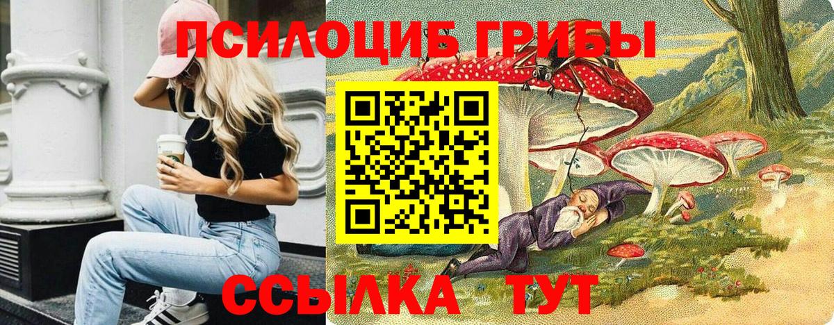Псилоцибиновые грибы MAGIC MUSHROOMS  Вход с VPN  Майский 